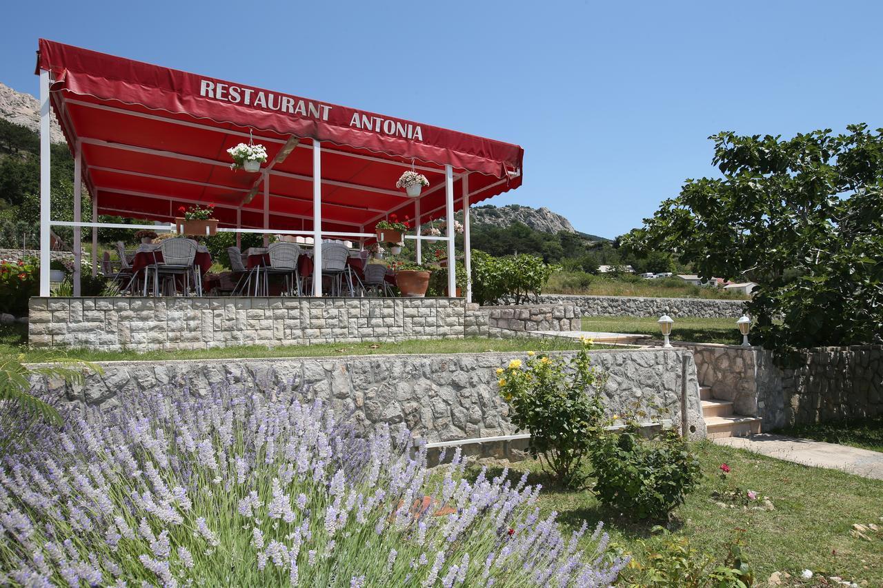 Pension Antonia Jurandvor Εξωτερικό φωτογραφία