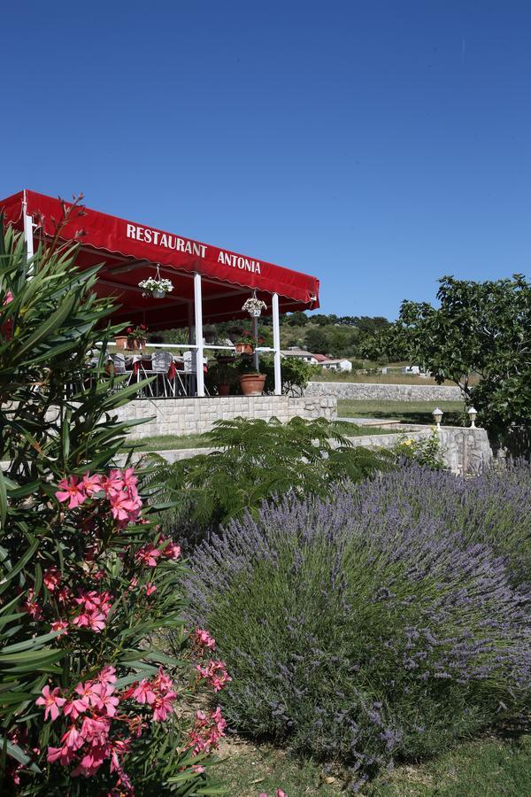 Pension Antonia Jurandvor Εξωτερικό φωτογραφία