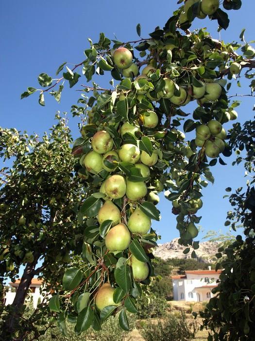 Pension Antonia Jurandvor Εξωτερικό φωτογραφία